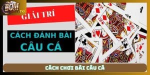 Cách chơi bài câu cá từ A - Z giúp newbie nhập cuộc đơn giản