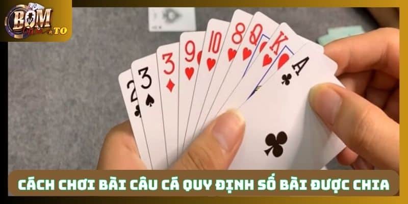 Cách chơi bài câu cá quy định riêng về số lượng bài được chia