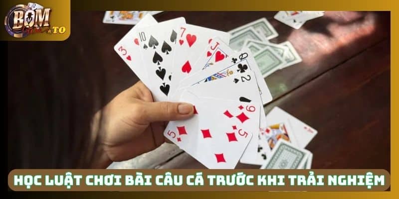 Học luật chơi bài câu cá cơ bản trước khi trải nghiệm