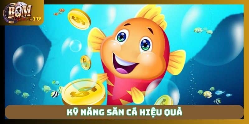 Nghiên cứu các bí quyết săn cá hiệu quả