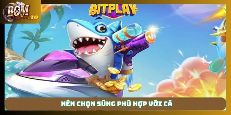 Nên chọn súng phù hợp với cá